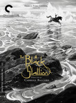 The Black Stallion