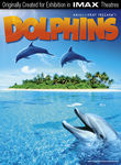 Dolphins (2007) poster