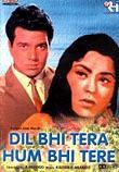 Dil Bhi Tera Hum Bhi Tere