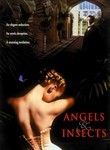 Angels and Insects