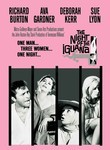 The Night of the Iguana