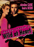Wild at Heart poster