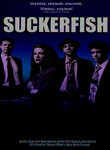 Suckerfish