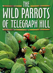 The Wild Parrots of Telegraph Hill