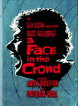 A Face in the Crowd