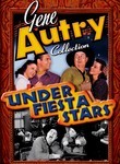 Under Fiesta Stars