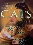 A&E's Incredible World of Cats