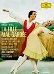 Family Hero (Le Heros de la famille) poster