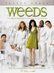 Weeds: Season 3: Disc 1 (3-Disc Series)