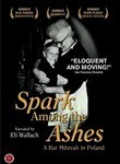 Spark Among the Ashes