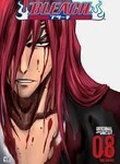 Bleach: Vol. 8: The Entry