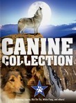 The Great Adventure / George! / Rin Tin Tin and the Fangs of the Wild / Rin Tin Tin and the Skull and Crown