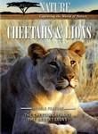 Nature: Cheetahs and Lions