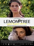 Lemon Tree