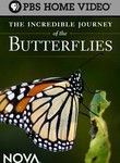 The Incredible Journey of the Butterflies: Nova
