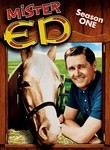 Mister Ed: Season 1 (4-Disc Series)