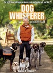 Dog Whisperer with Cesar Millan: Season 4: Vol. 2