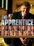 The Apprentice