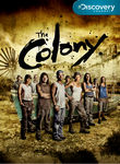 The Colony