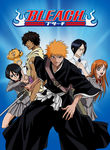 Bleach: Vol. 8: The Entry