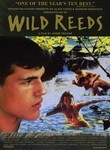 Wild Reeds
