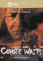 American Mystery! Coyote Waits