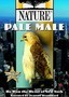 Nature: Pale Male