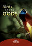 Nature: Birds of the Gods