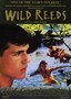 Wild Reeds